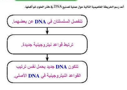 حول - Page 8